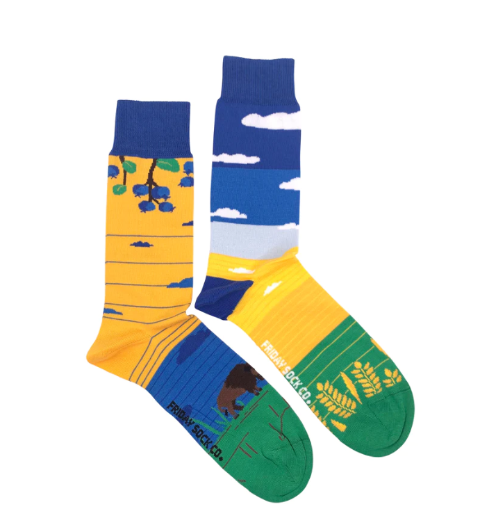 Prairie Canadian Landscape Socks
