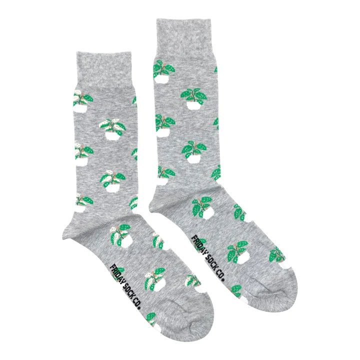 Swiss Cheese Plant Socks
