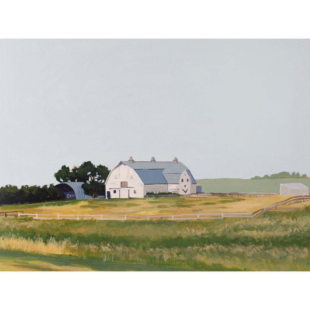 Assorted 16" x 12" Prints from Lucky Shape